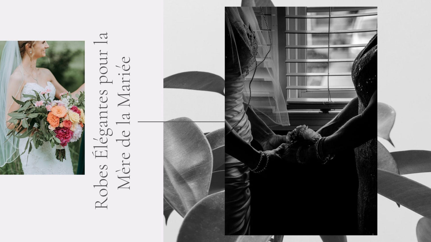 Robes Élégantes pour la Mère de la Mariée : Manches Longues, Manches Courtes et Sans Manches