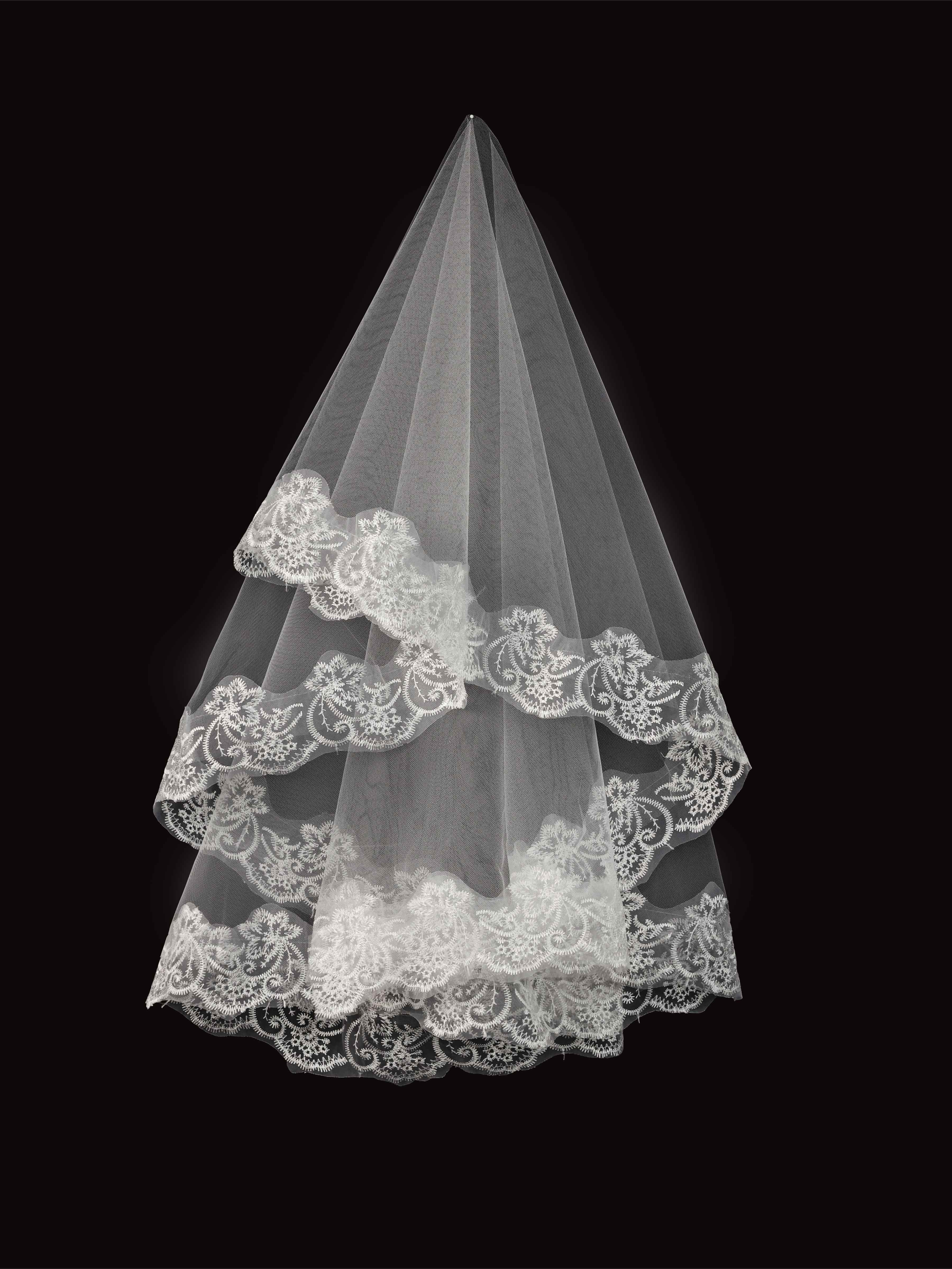 Voile Mantille En Dentelle Pour Un Look De Mariée Gothique