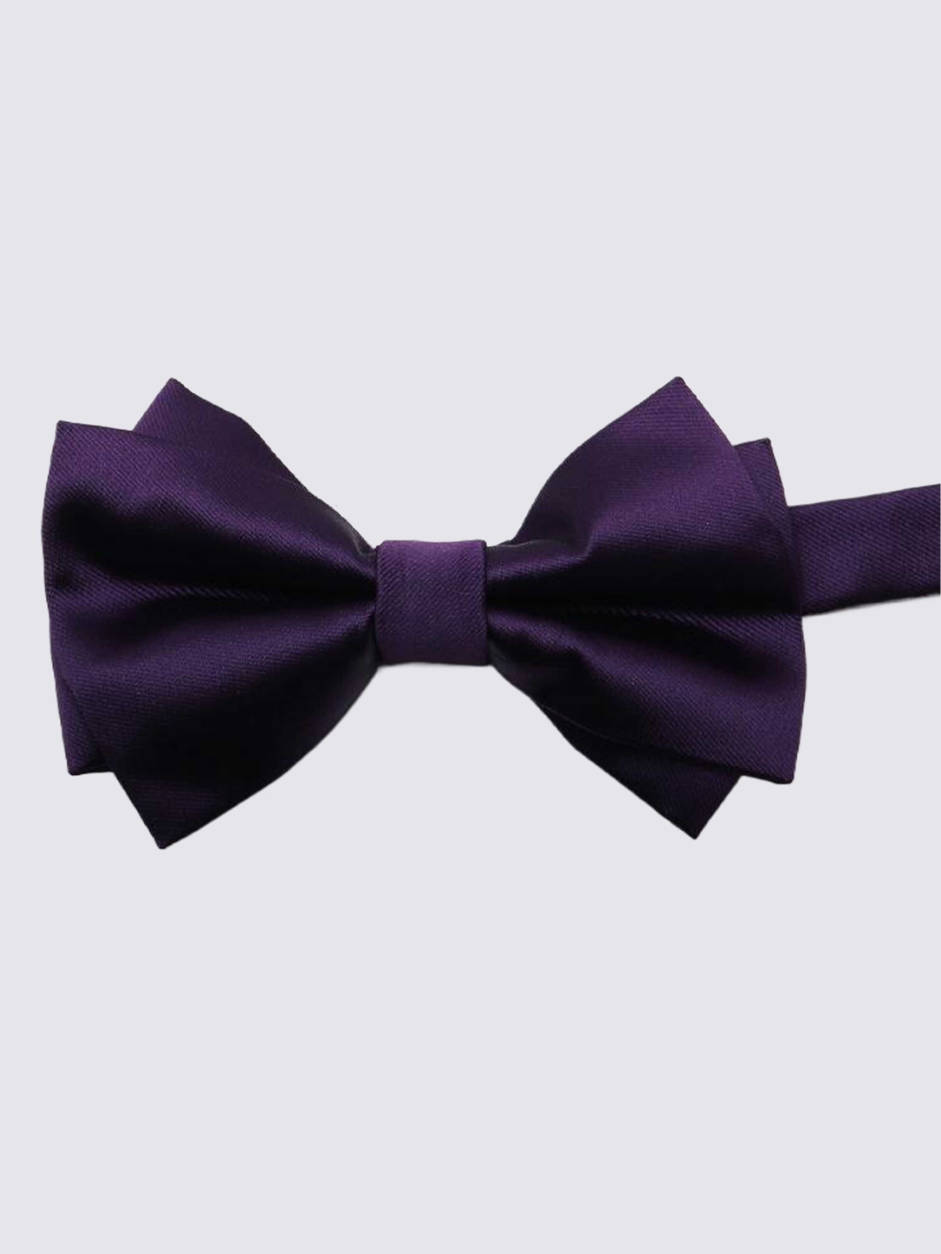 Nœuds Papillon En Satin Pour Homme